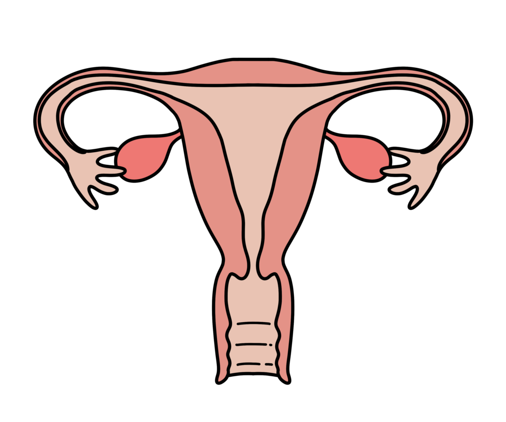 ストーリーを共有することが特に重要なのはなぜだと思いますか?