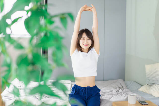 ストレッチ